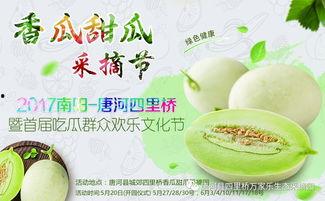 网红合集吃瓜,揭秘娱乐圈幕后故事