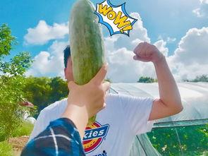 热门吃瓜网红,揭秘热门吃瓜网红背后的故事