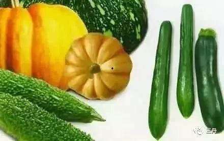 最早吃瓜网,网络舆论风向标背后的故事